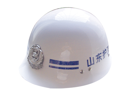 BLH09-915-2