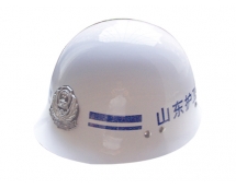 BLH09-915-2