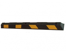 BLH13-113